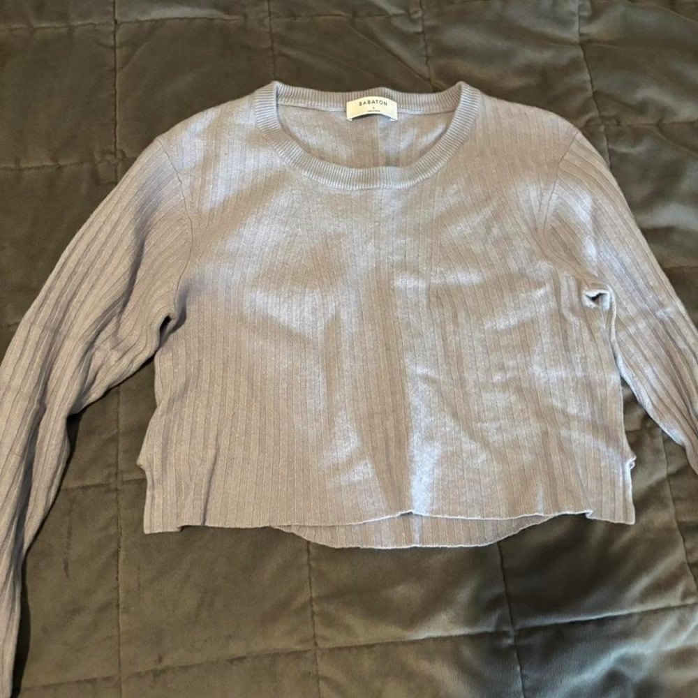 Grey Babaton cropped long sleeve top